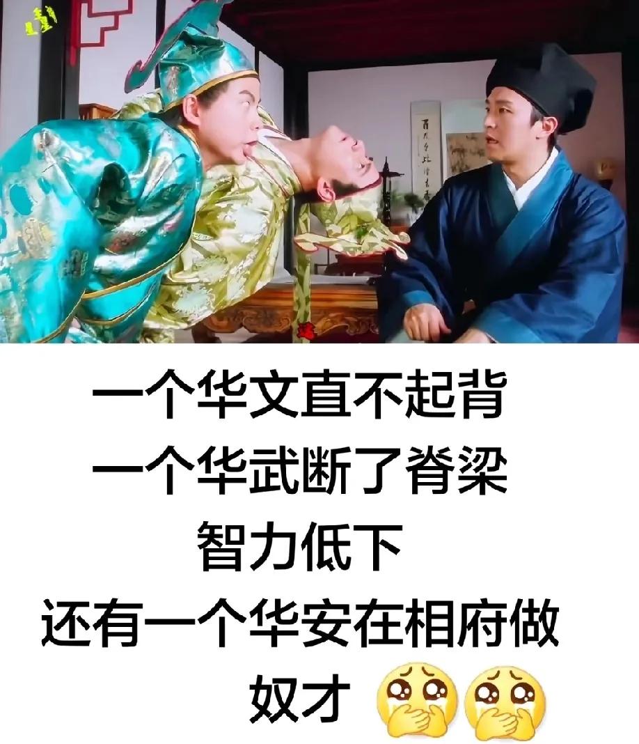 很多人会好奇，周星驰电影《唐伯虎点秋香》​​中，华太师的两个儿子，为啥会那么怪？