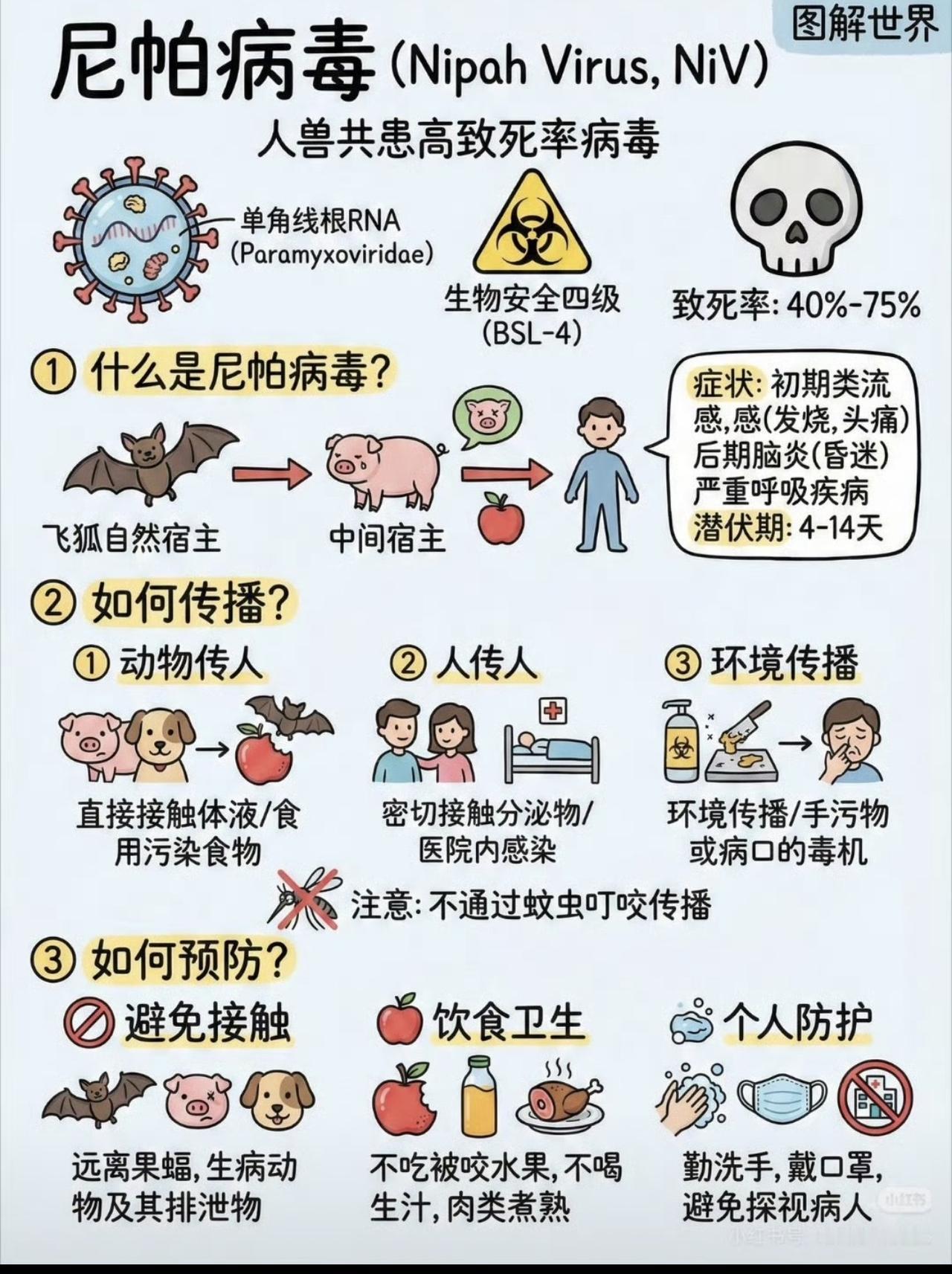 哎妈呀！尼帕病毒有多可怕，还用形容吗？你想啊，连印度人都扛不住的病毒！拜托！