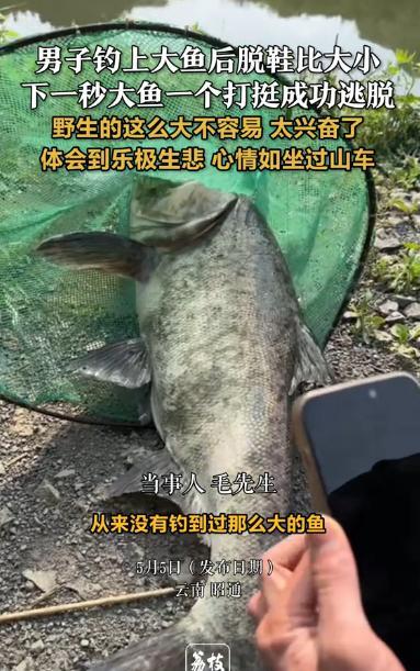 “这下睡不着了！”云南昭通，一男子外出钓鱼，竟破天荒钓起一条大鱼，男子当即脱下鞋