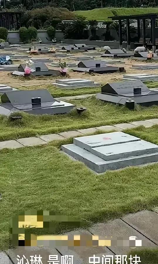 湾湾博主真的去探访大S的墓地了，没有鲜花，也没有具俊烨。博主问了管理员，得知：