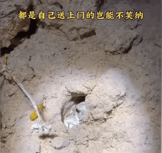 表情包大快朵颐啊！！​​​