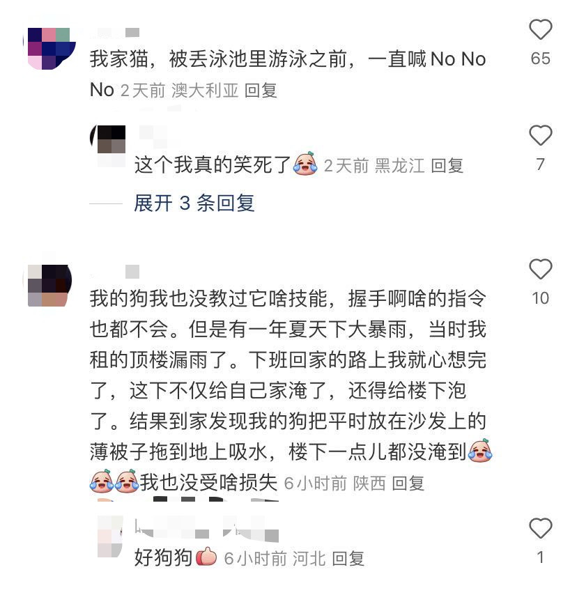 可长点心吧