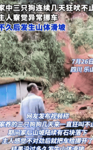 彻底解释不清了！四川乐山，一女子家里养的3条狗，连续几天一直狂吠，起初女子并不在