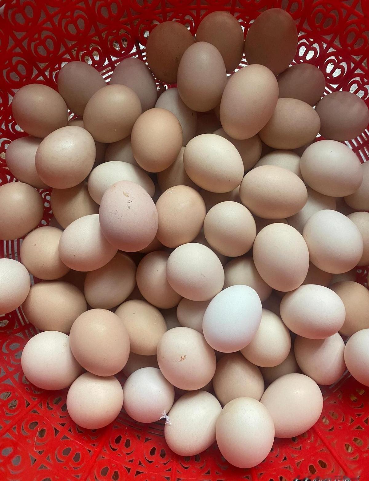 农村亲戚大老远背来80个鹅蛋，我反手塞了800块钱红包，本来以为这事办得挺体面，