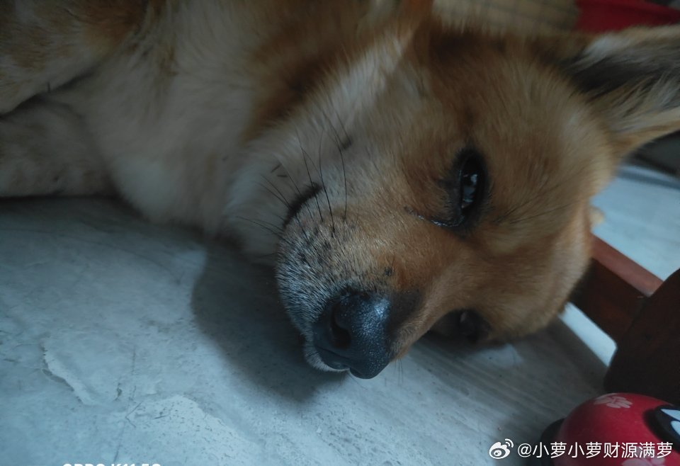 每一次社会重大转型几乎是瞬间！比如：BB机被大哥大，手机取代仿佛是一夜之间，感觉