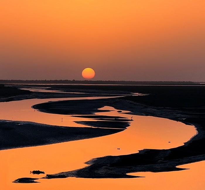 一位著名作家说：“杨修之死告诉我们，比领导聪明必死；曹植之死告诉我们，利益面前没