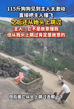 “吵翻天！”6月23日，湖北，一女子养了条阿拉斯加，这只狗很胖，有115斤，当时