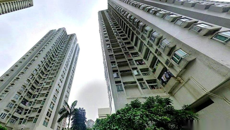 香港新葵兴花园的楼下大堂，一组买家正聚在一起扒拉着手机算首付。他们压根不知道，头