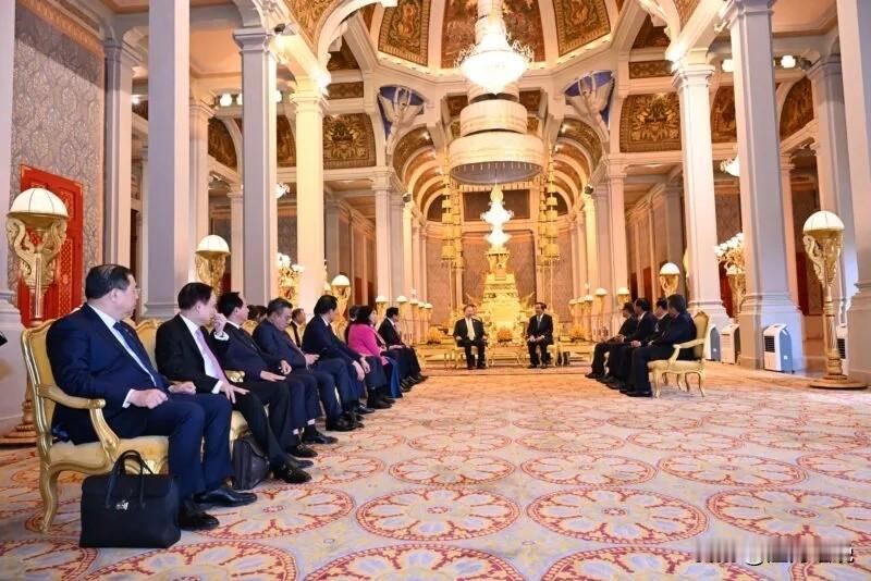 西哈莫尼国王因身体抱恙，洪森以代行国家元首的身份接待苏林率领的越南代表团。这