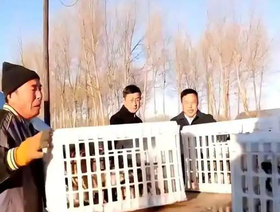 2014年，黑龙江一位大叔，掏空全部家当饲养大鹅，养了6000只鹅，结果将近一大