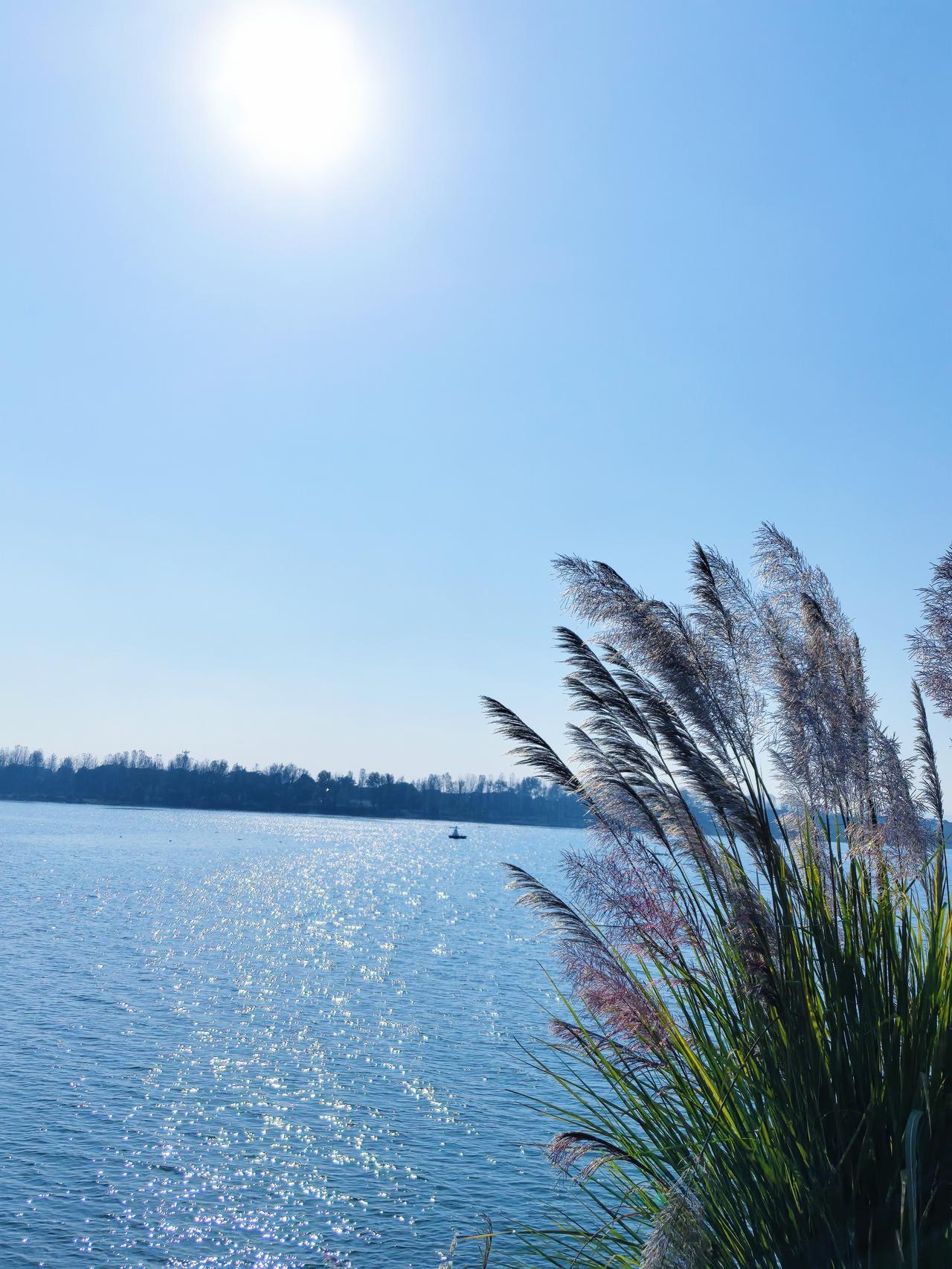 现在教育最大的悲哀就是老师不愿管也不敢管学生了！！！刚看到一条新闻，西安一初