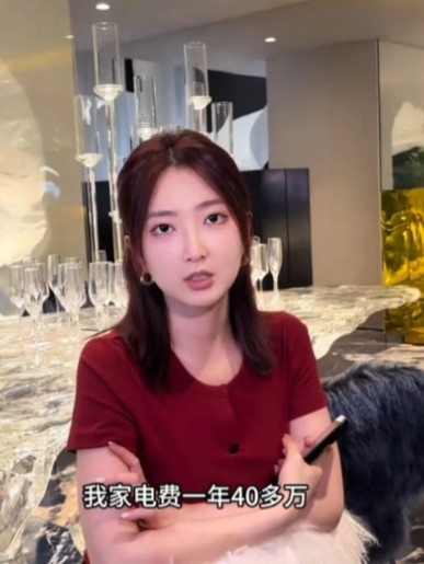 浙江一位33岁女士最近在网上晒出自家的能源账单——1000平别墅一年电费40多万
