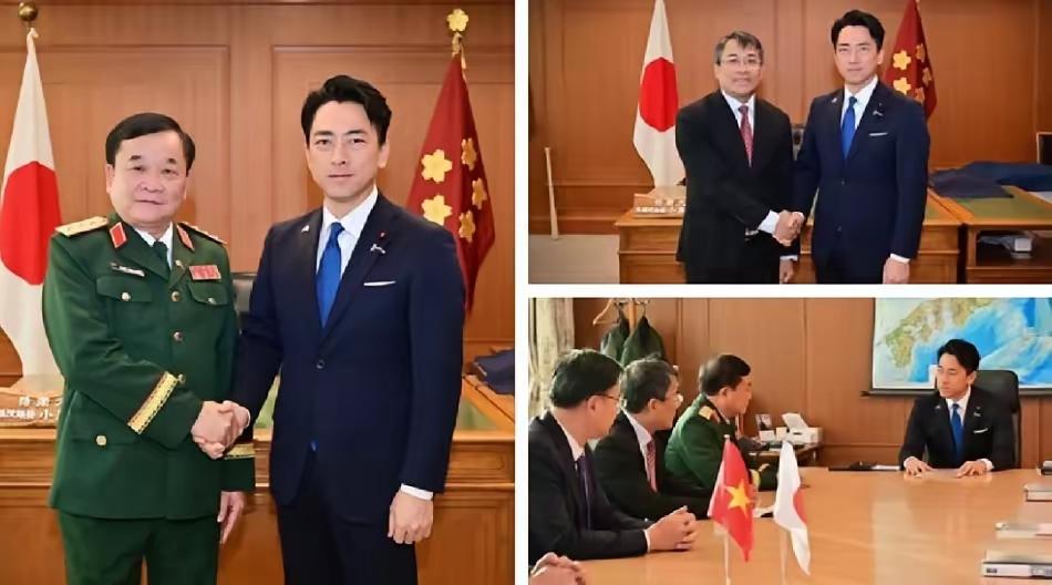 越南这个时候想玩平衡，派个副部长去讨好日本，日本让去，他就去，这几年有什么成果，