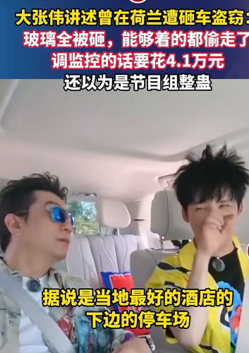 没想到啊！大张伟也会哭，在镜头前心疼落泪哭诉自己在荷兰被砸碎车窗盗取了所有物品。