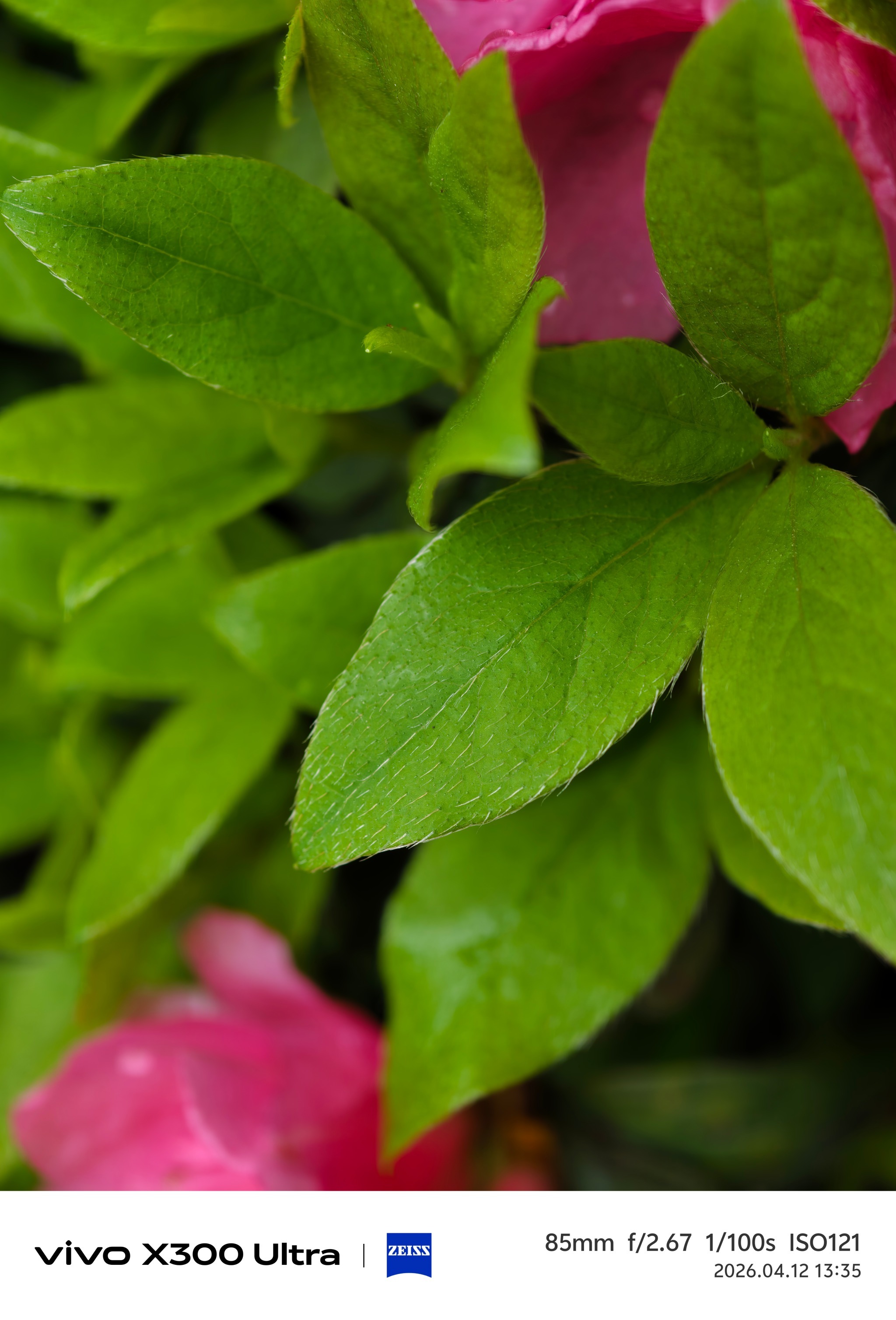 这是vivoX300Ultra的两亿像素这细节处理有点6！成都·锦城湖