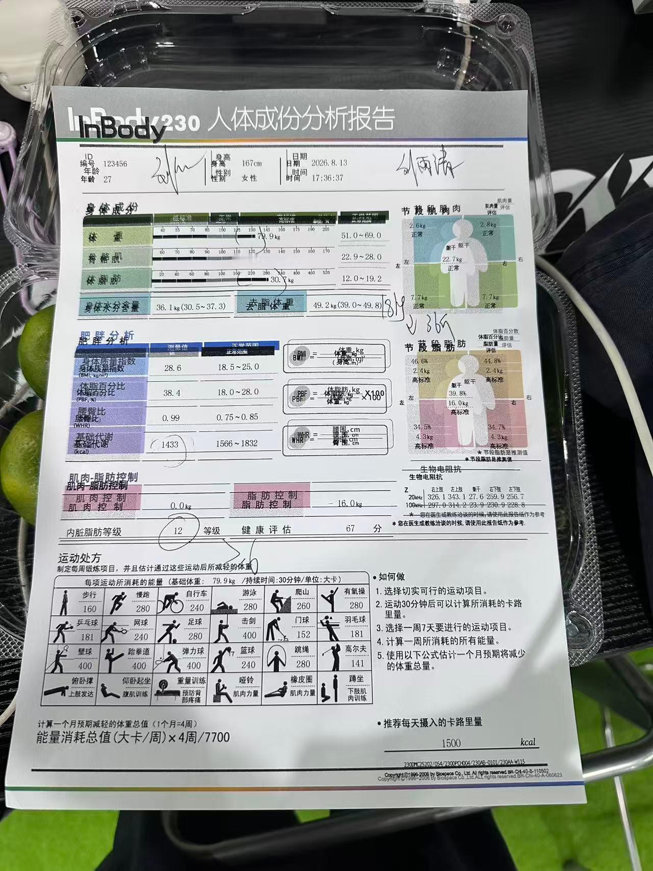 蛙蛙开始了