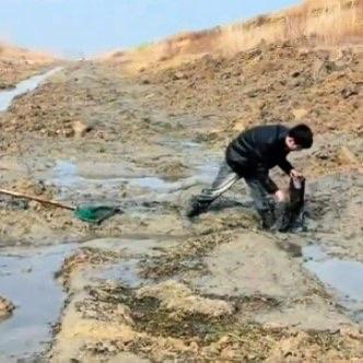 安徽姑娘的相亲经历，让所有人对“相亲”两个字改观了。没有尴尬的自我介绍，没有高档