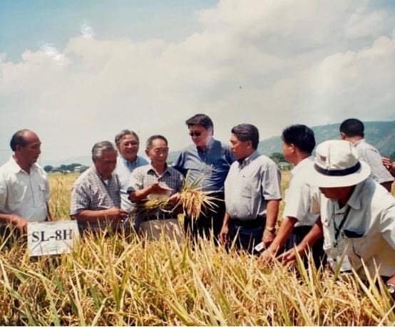 🌞“应该受到严厉处罚！”央视新闻在2024年曝光了一起惊天大案：我国杂交水