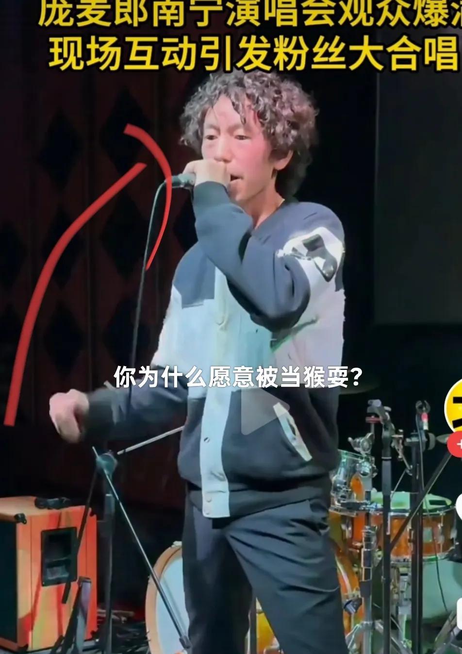 太会玩了吧，庞麦郎演唱会观众真的是听歌的吗，唱成这样，感觉你们是在看耍猴，因