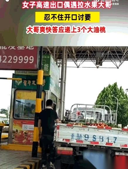 陕西高速上，一辆拉满油桃的大货车，被旁边小车里的一句话喊停了。正是中午，太阳把