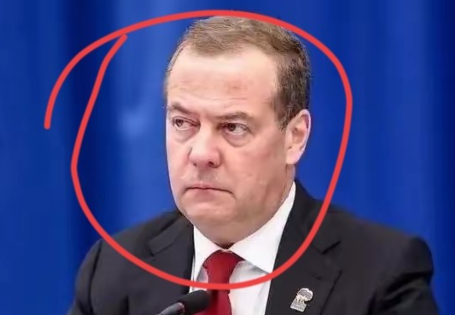 我的天呐，这泽连斯基是不是真的疯了啊？！你们看到这个消息了吗？我简直不敢相信