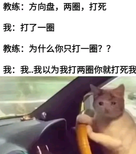 谁家的方向盘能打两圈