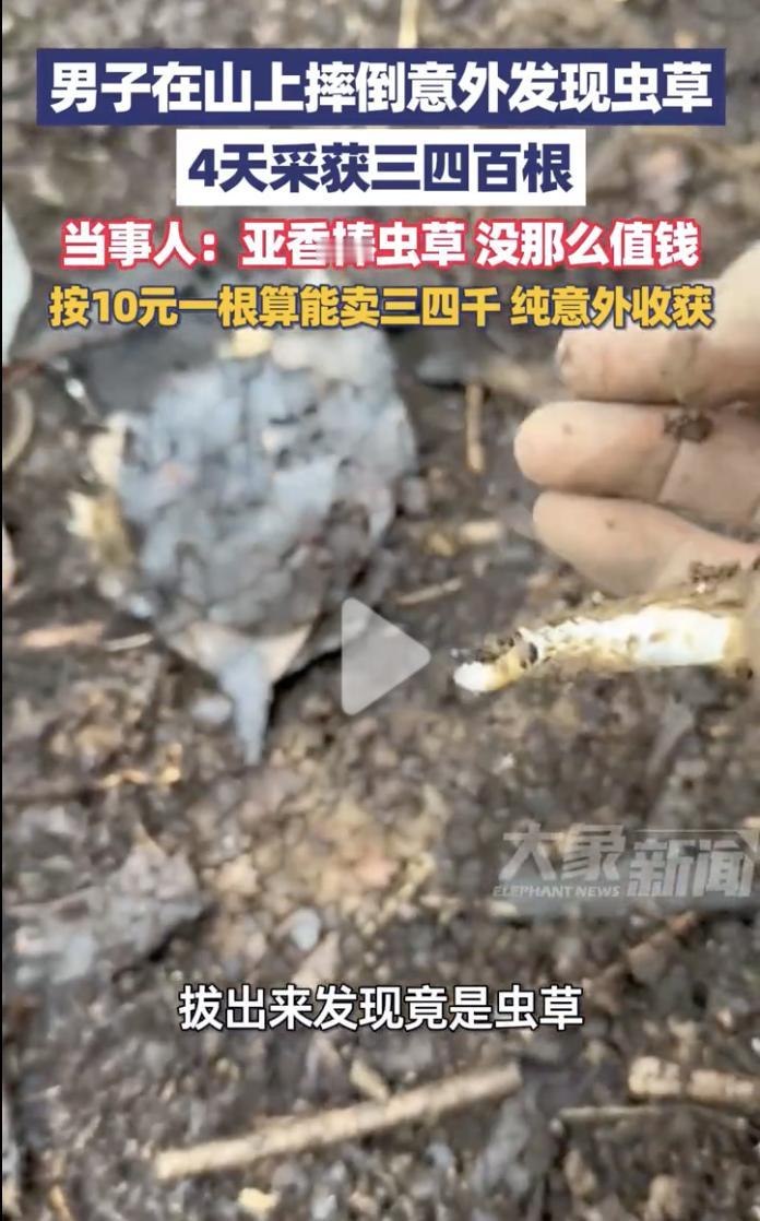 “财运来了挡都挡不住！”近日，贵州开阳，一男子在山上玩耍时不慎摔了一跤，本来是觉