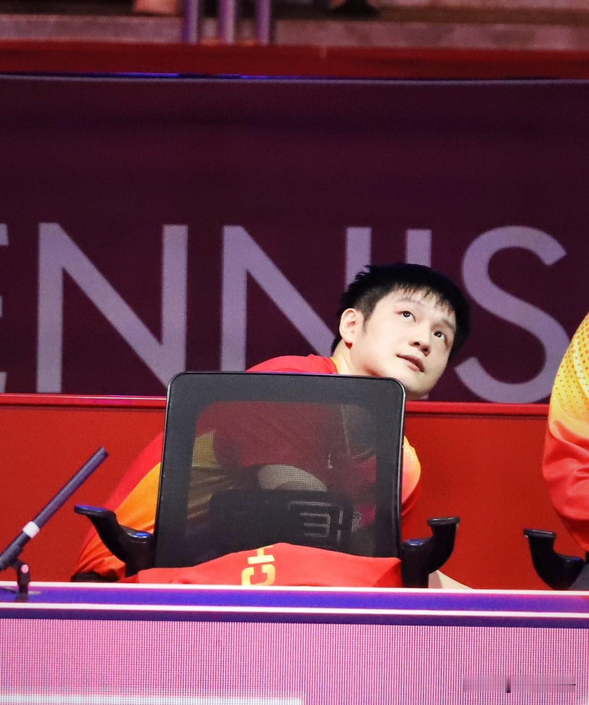 今天看到一个星姐说在机场摆渡车上近距离偶遇了樊振东，樊振东回国了？现在的东哥真