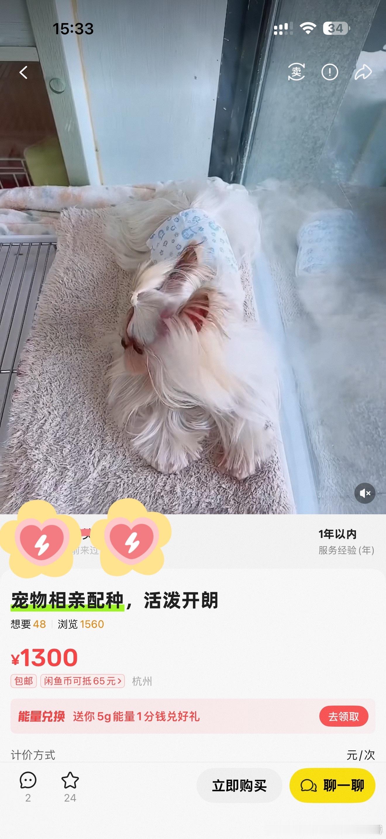 今天深刻理解到了大家为啥说咸鱼是中国最大的暗网。因为狗发情了，去闲鱼上面找….真的有配种的……..随
