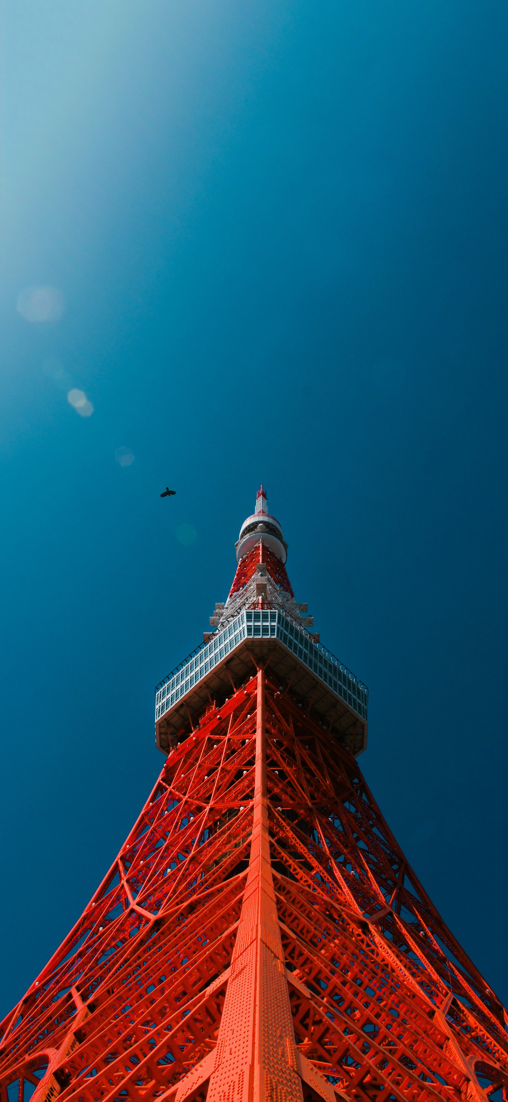 莱分享今日iPhone壁纸分享