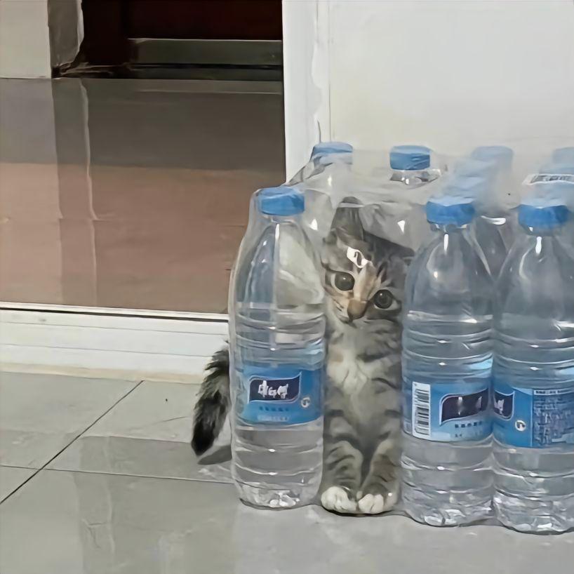一起来躲猫猫喽[doge]​​​
