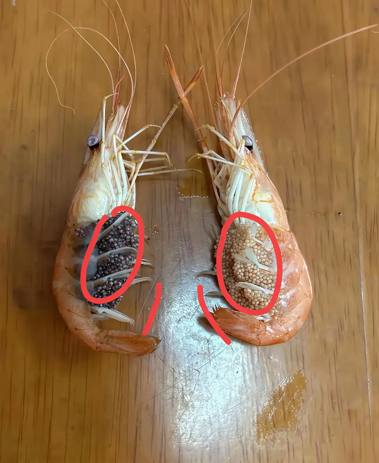 同样的虾，为什么圈起来的地方一个黑的一个白的？