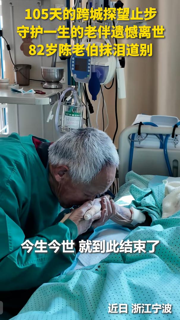 81岁的老人，每天为了看半小时的爱人，坐5个小时的车，老奶奶这辈子值了。82