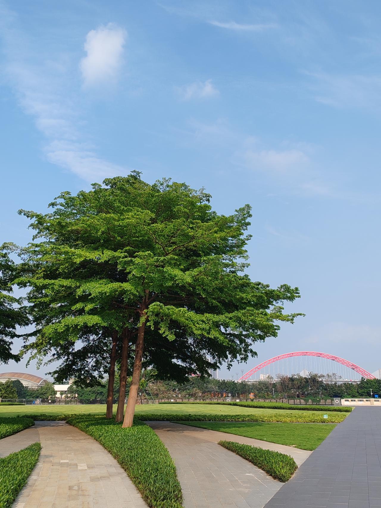 随手拍一张你所在城市的蓝天景色
