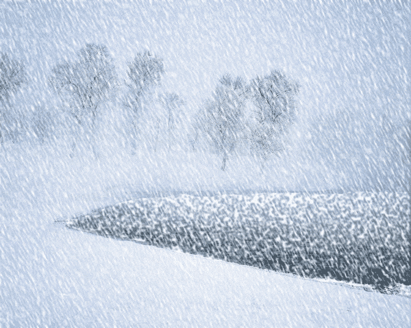 大雪已至, 冷(美)冷(美)冷(美), 再美也不能忽略她......