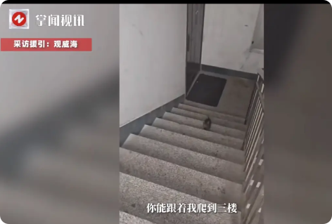 “万物皆有灵！”近日，山东威海，一男子喝完酒之后爬楼梯回家，谁知却遇到一个刚出生