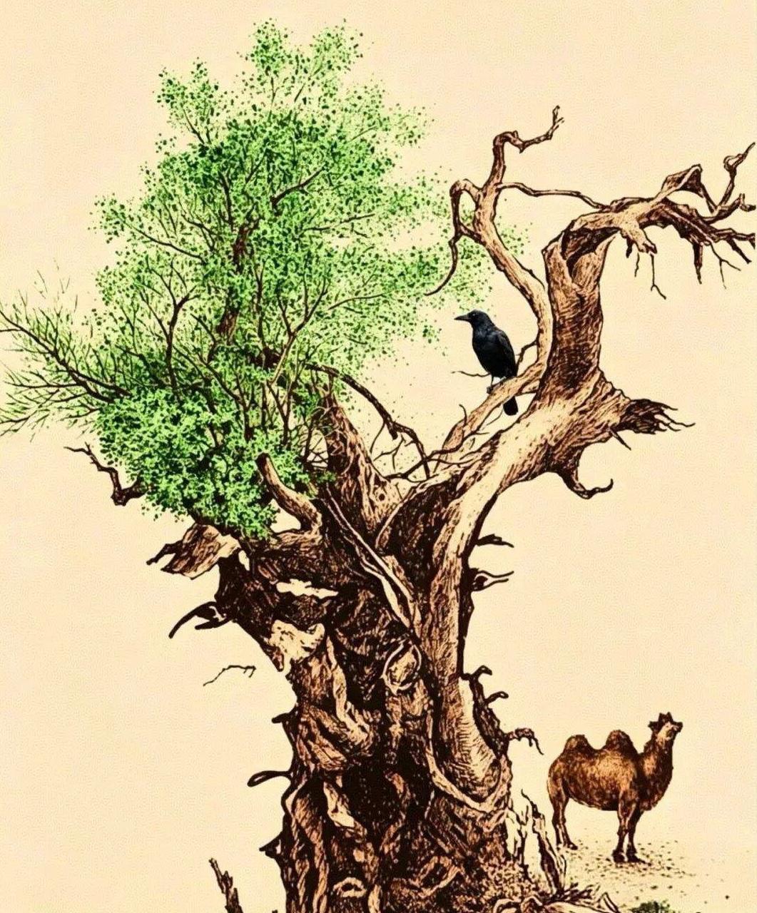 找人脸。这幅图，据说是一棵胡杨木。一眼看去，树的右侧有点枯藤老树昏鸦的意境