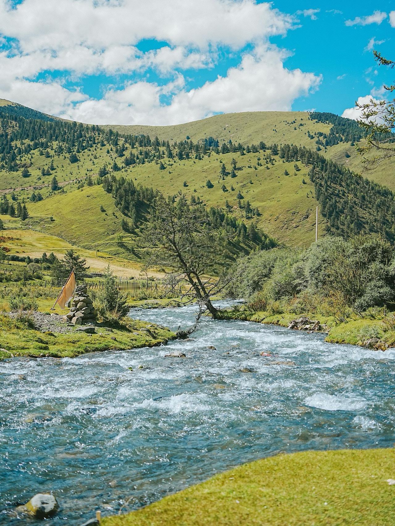 我结识了一位高二学生的家长，这位家长是南京某知名大学的教授。我问他：“您自己为什