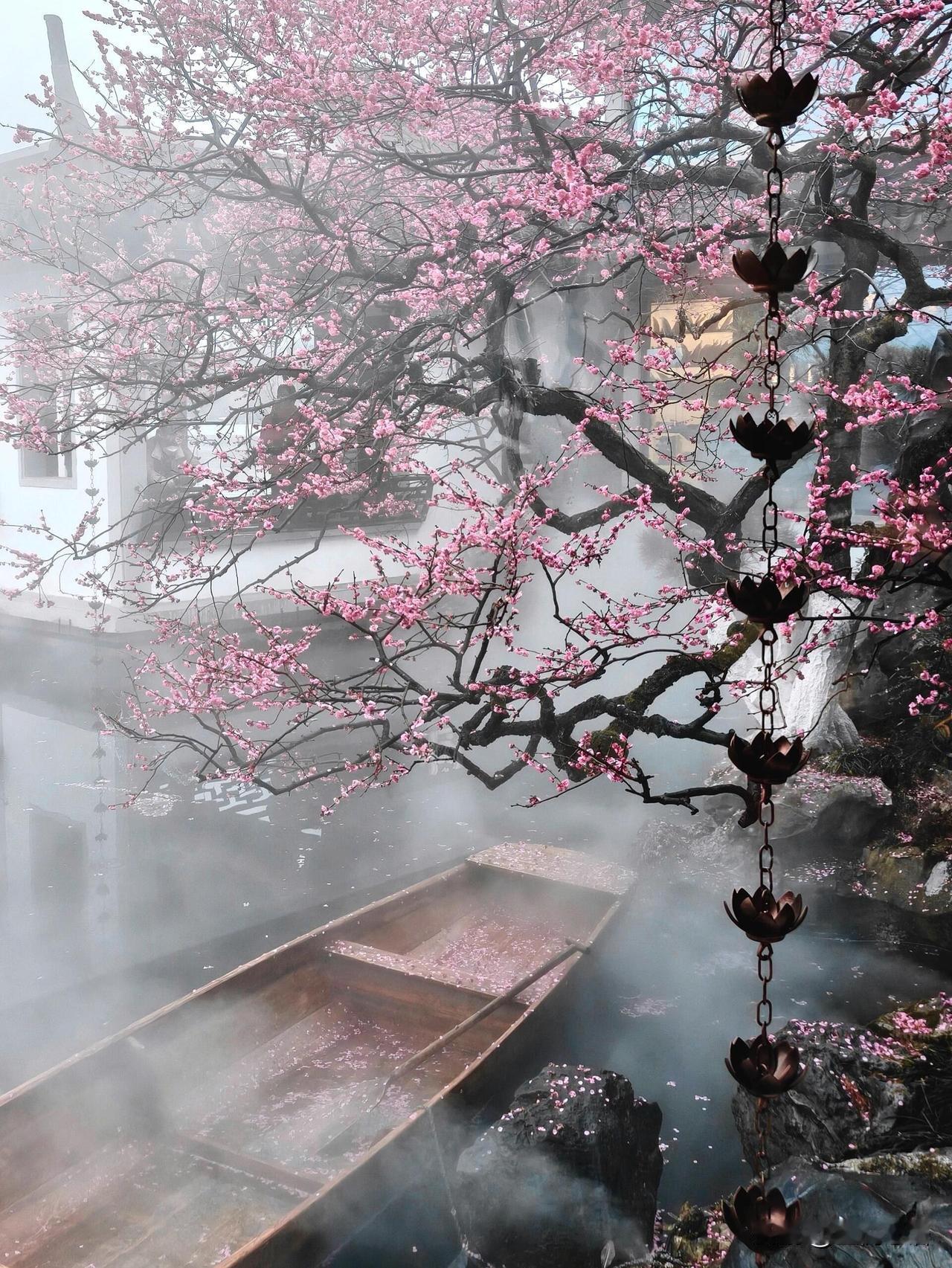 总算懂了晴西湖不如雨西湖的说法！雨天逛西湖真的太有味道了烟雨蒙蒙的整个