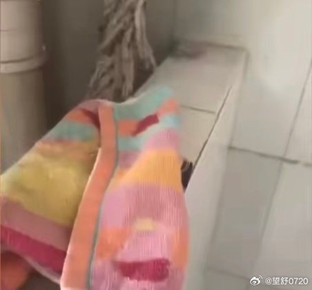 大学生曝宿舍男厕便池藏偷摄像头热点观点学校迅速响应，保卫处介入调查，值得肯定。