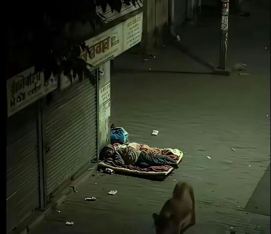 印度街头，半夜一头觅食的狮子。它走到屋檐下熟睡的三哥身边，准备找地方下口，结果闻