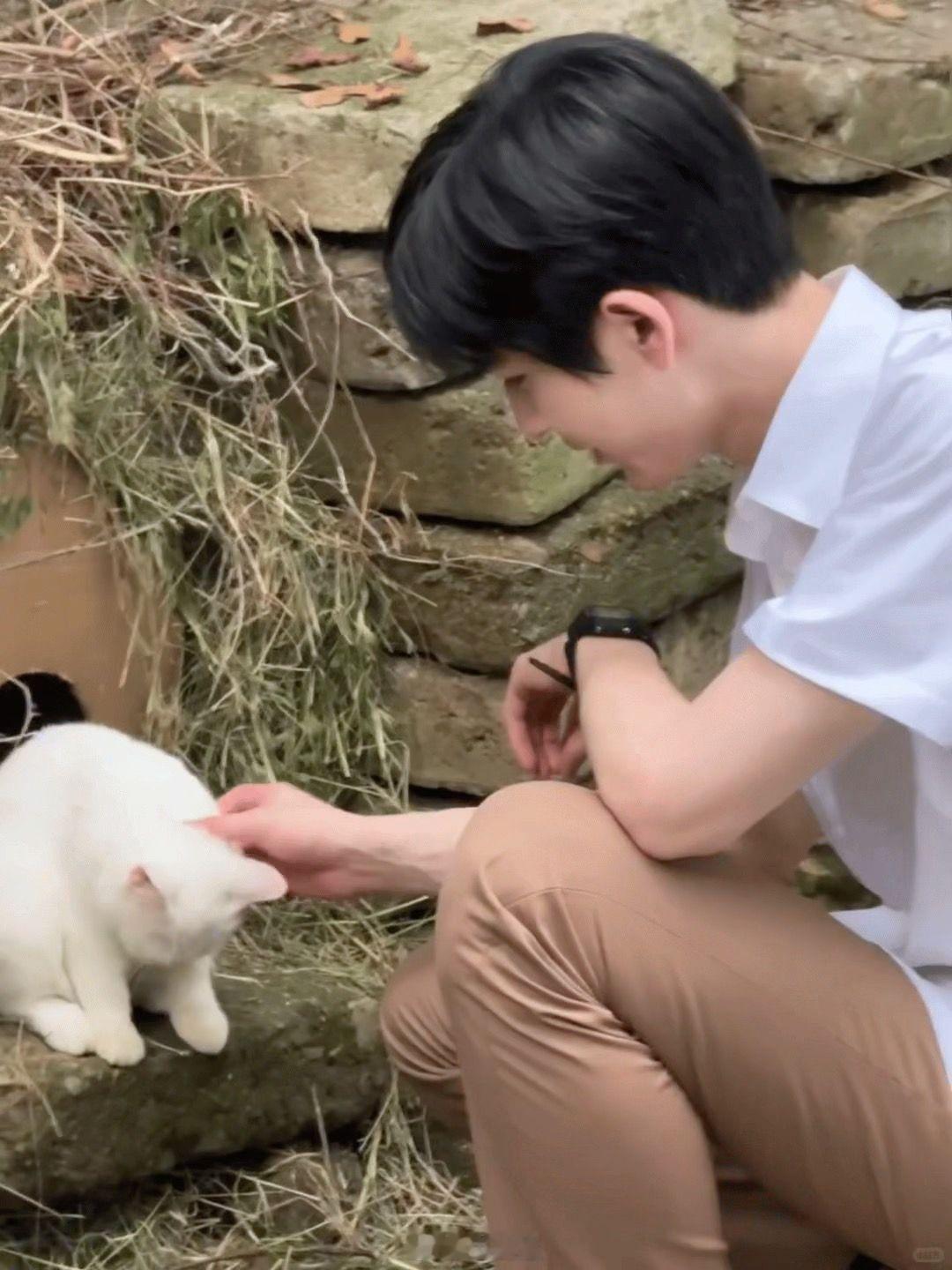 张凌赫做他的小孩一定很幸福啊，他生长的环境那么良好那么高知，自身也那么沉稳，有修