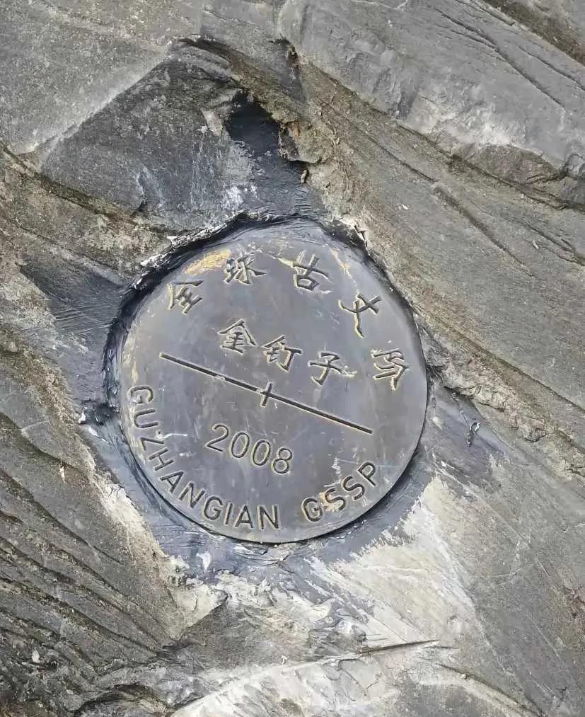 金的？钉子？