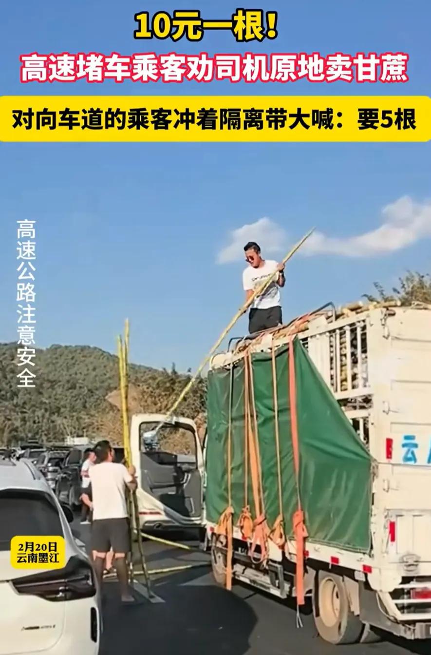 笑死了！云南墨江，一男子拉着一车的甘蔗上高速，没成想，赶上返程高峰期，直接堵在了