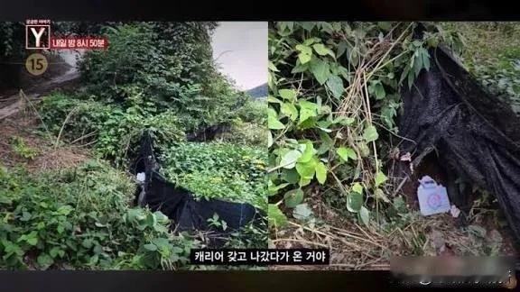下跪的榜一大哥，死了的女主播，谁在直播里输得最惨？崔某五十多岁，不是老板，欠