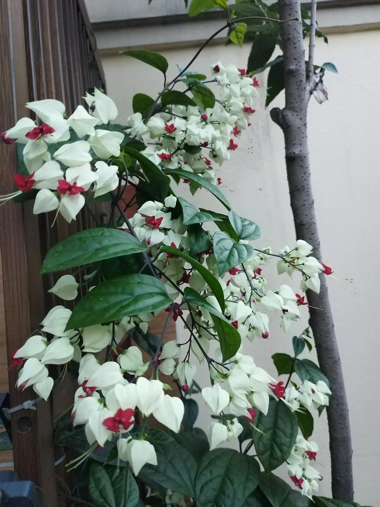 读书人修心养性，活通透的三原则，但凡活得明白的，不纠结过不去的坎，不恋战得不到的