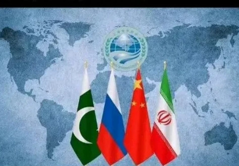 印度这跟搅屎棍终于体会到了被抛弃的感觉。上海合作组织国防部长会议正在青岛如火如荼