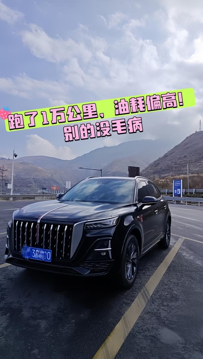 红旗HS52023款2.0T两驱旗享Pro版裸车价：15.48万平均油