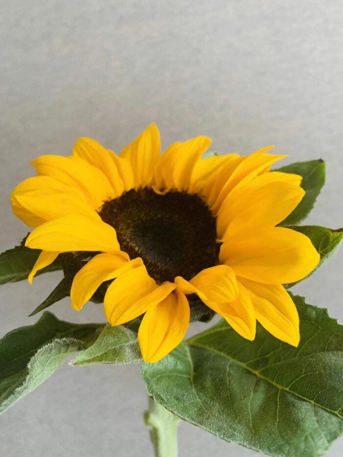 找不到工作，在家待着也是一种省钱方式。有个朋友失业后，创业失败，开店失败，攒