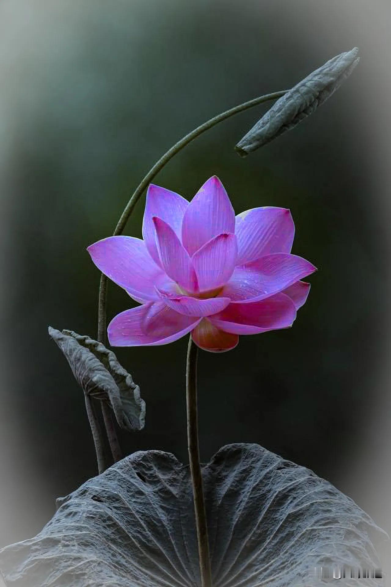 人一旦到了六七十岁，应该明白这个道理。人一旦到了六十岁，就是临期了，到了七十岁